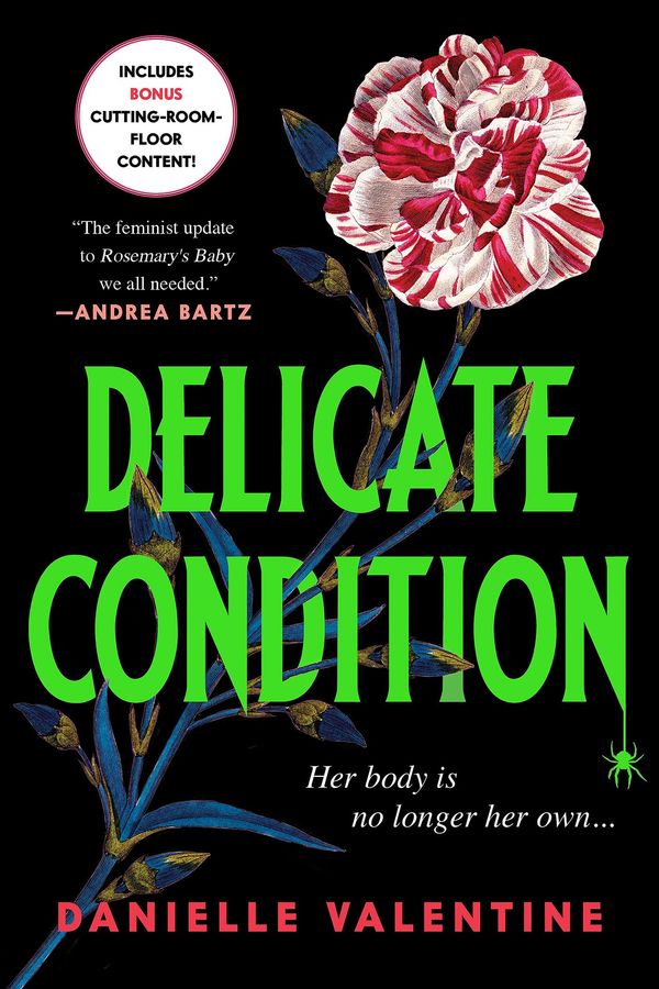 Delicate Condition Book Cover