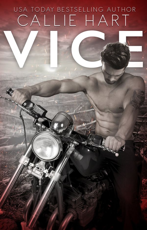 Vice Book Cover