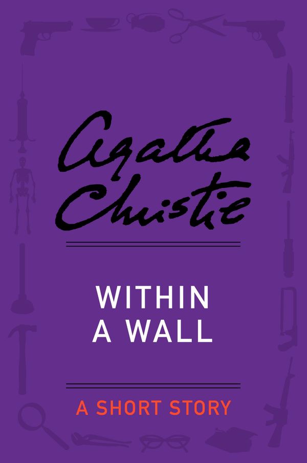 Within a Wall Book Cover