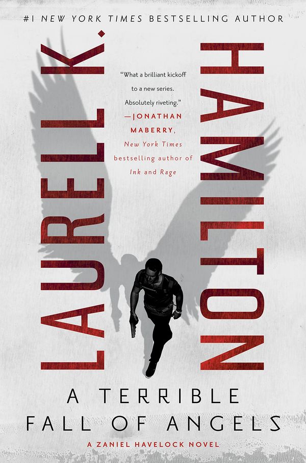 A Terrible Fall of Angels cover