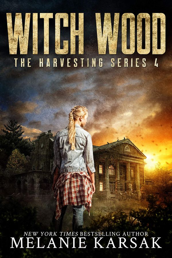 Witch Wood Book Cover