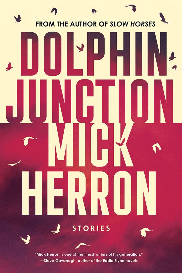 Dolphin Junction Book Cover