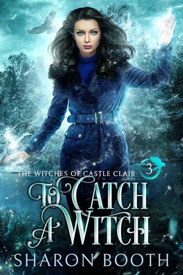 To Catch a Witch cover