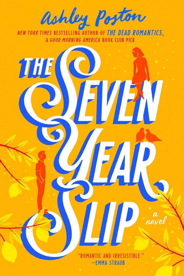 The Seven Year Slip Book Cover
