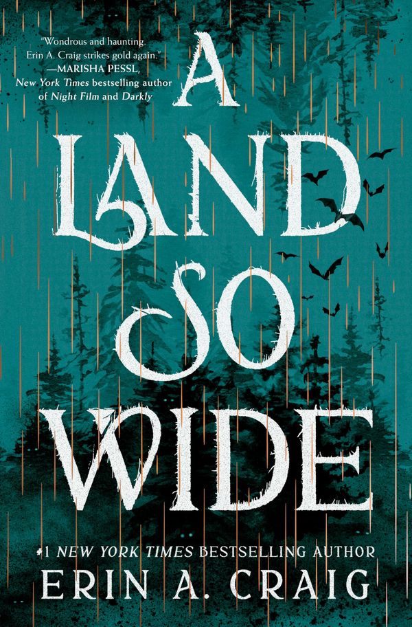 A Land So Wide Book Cover