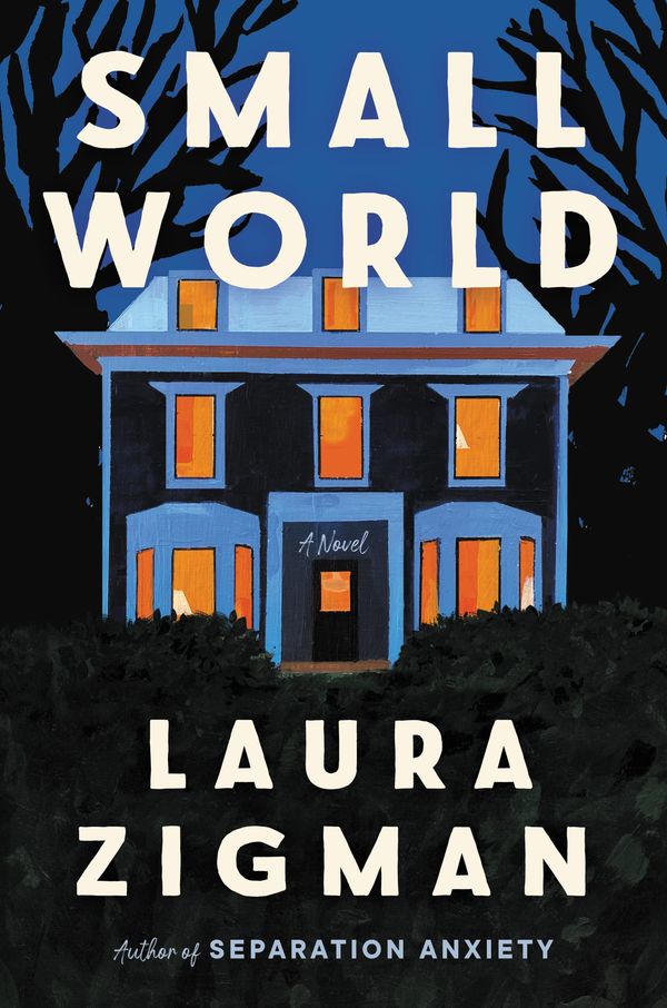 Small World Book Cover