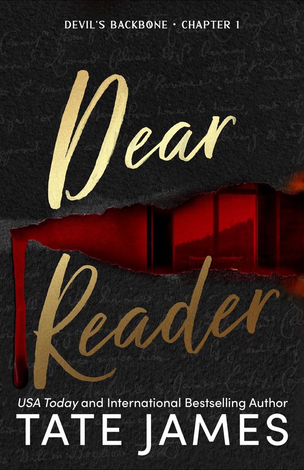 Dear Reader Book Cover