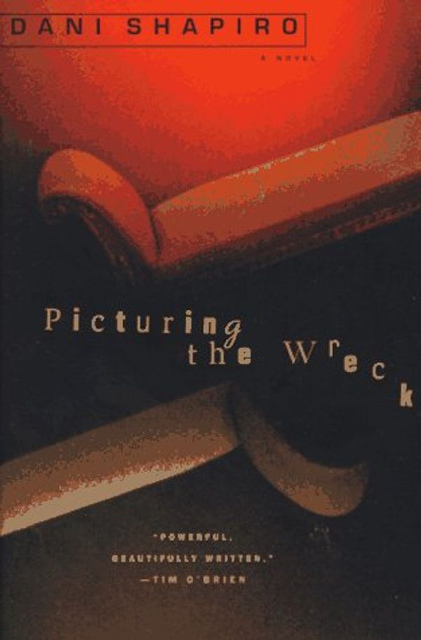 Picturing the Wreck Book Cover