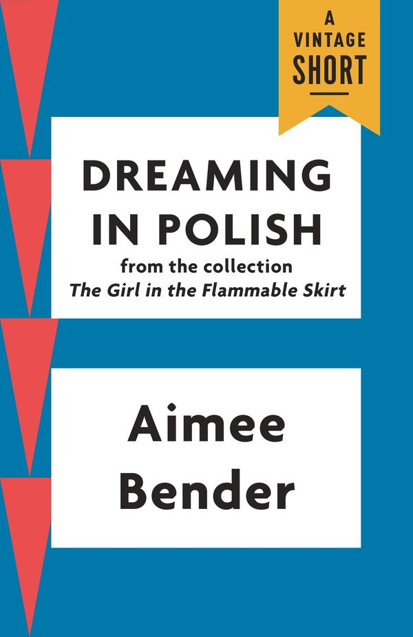 Dreaming in Polish Book Cover