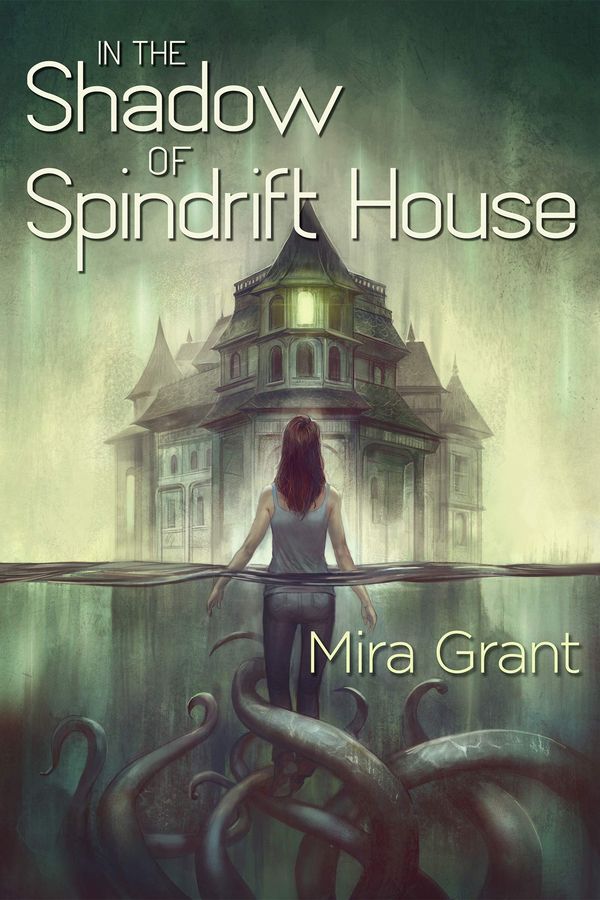 In the Shadow of Spindrift House Book Cover