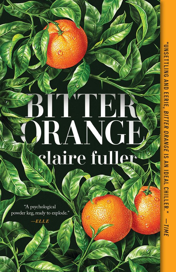 Bitter Orange Book Cover