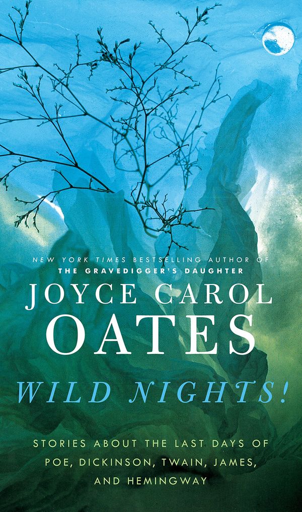 Wild Nights! Book Cover