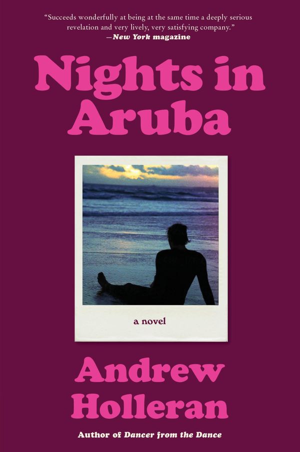 Nights in Aruba Book Cover