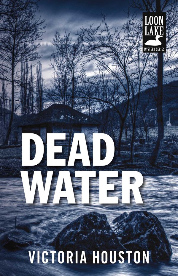 Dead Water cover