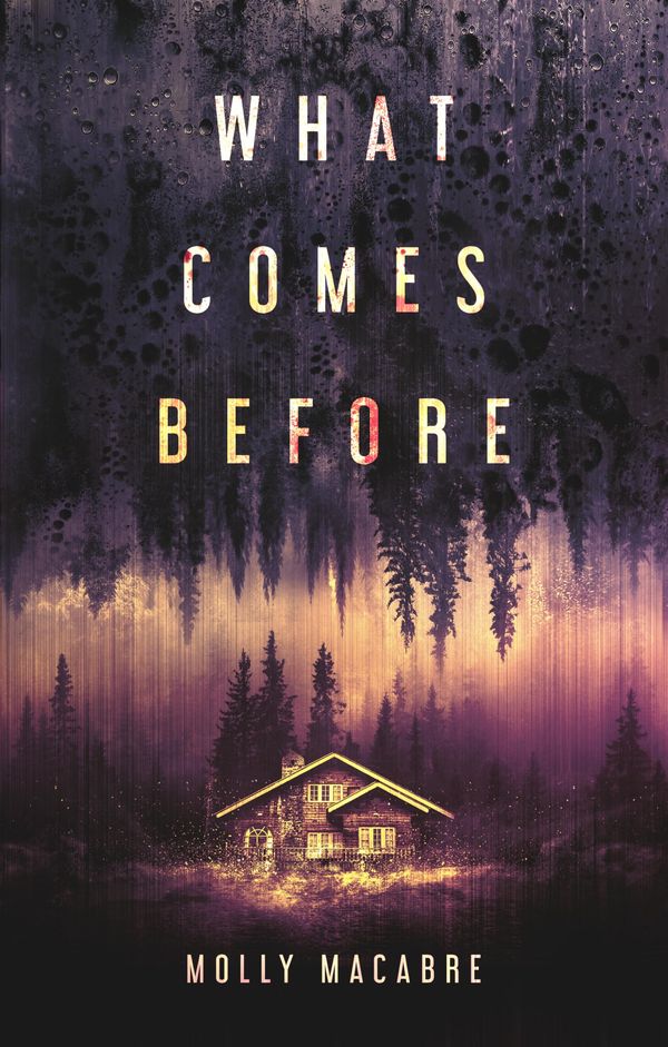 What Comes Before Book Cover