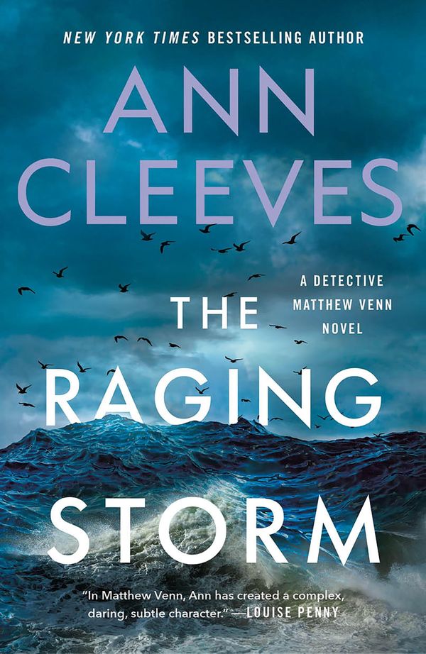 The Raging Storm cover