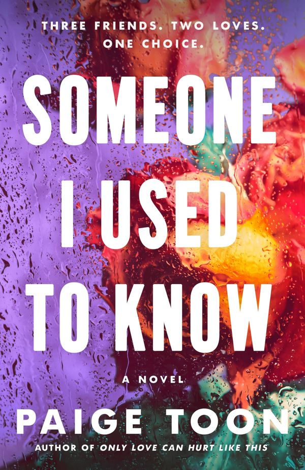 Someone I Used to Know Book Cover