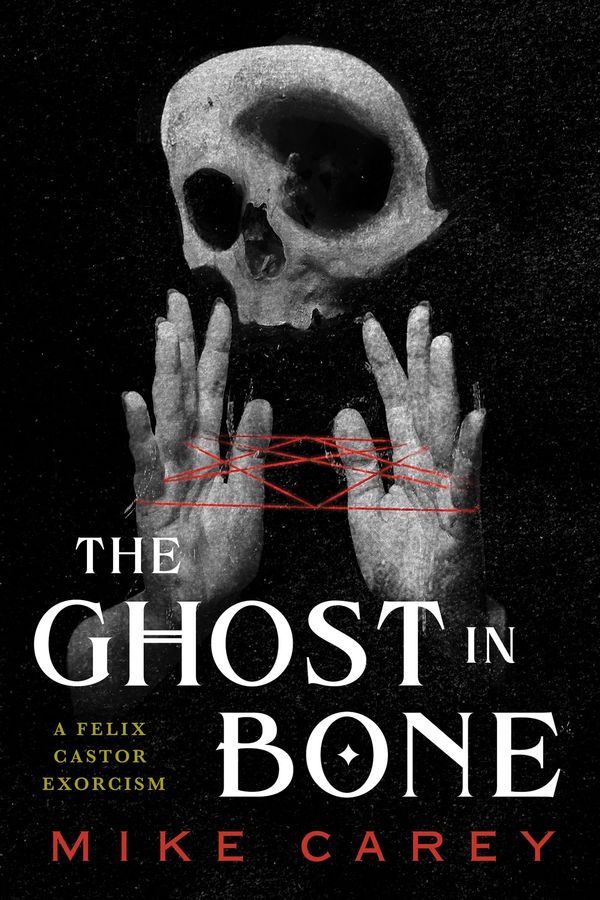 The Ghost in Bone Book Cover