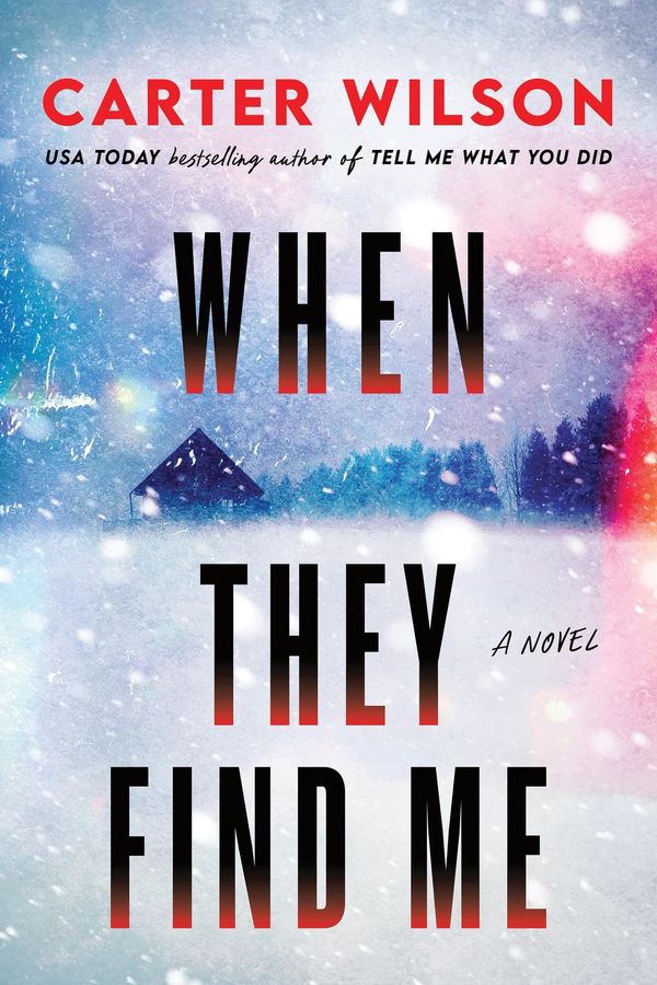 When They Find Me Book Cover