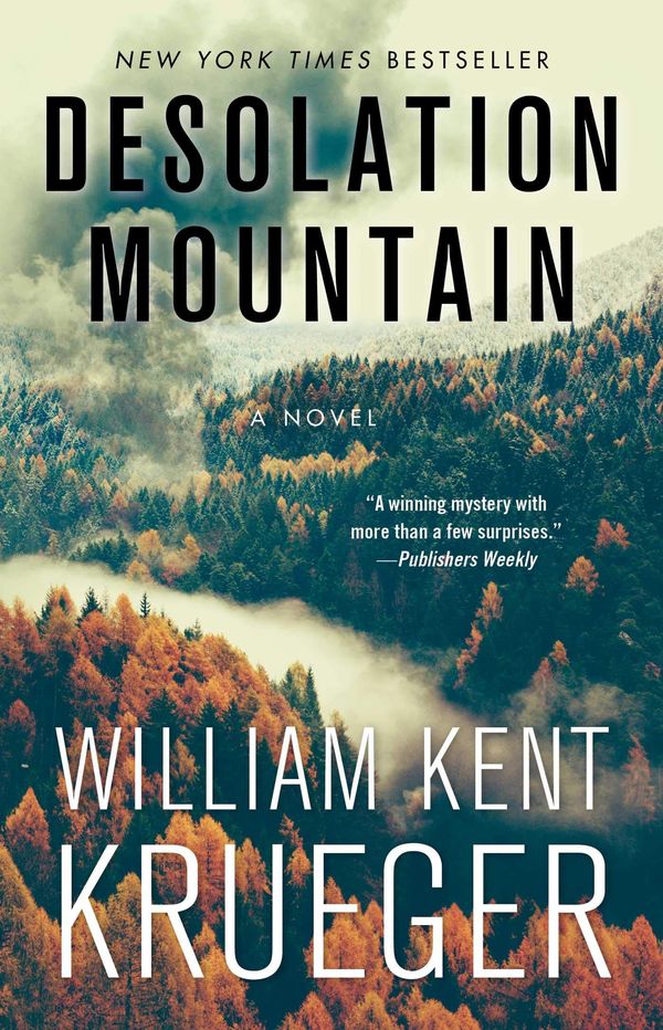 Desolation Mountain Book Cover