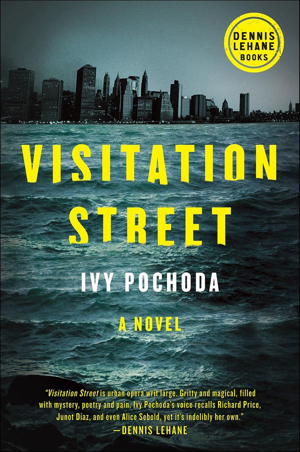 Visitation Street Book Cover