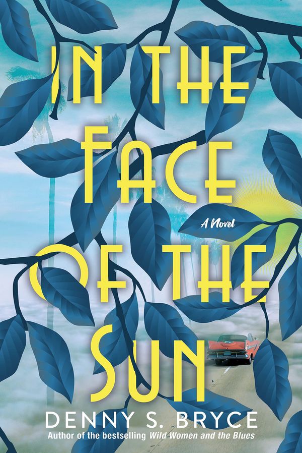 In the Face of the Sun Book Cover