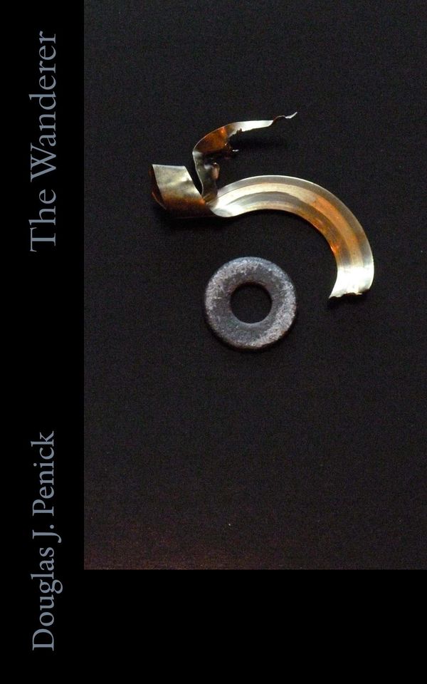 The Wanderer Book Cover