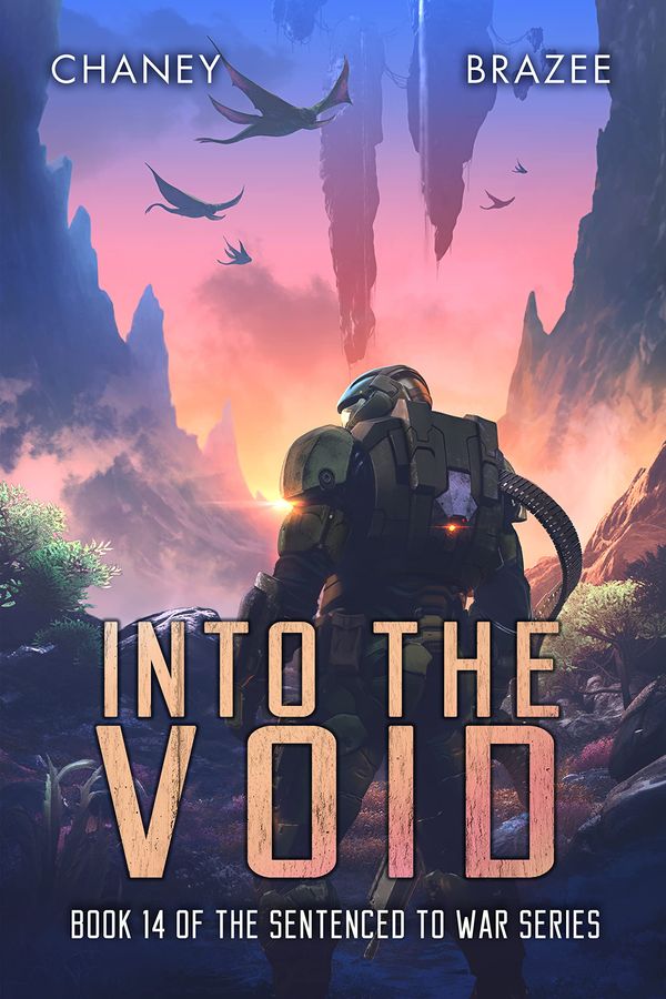 Into the Void Book Cover