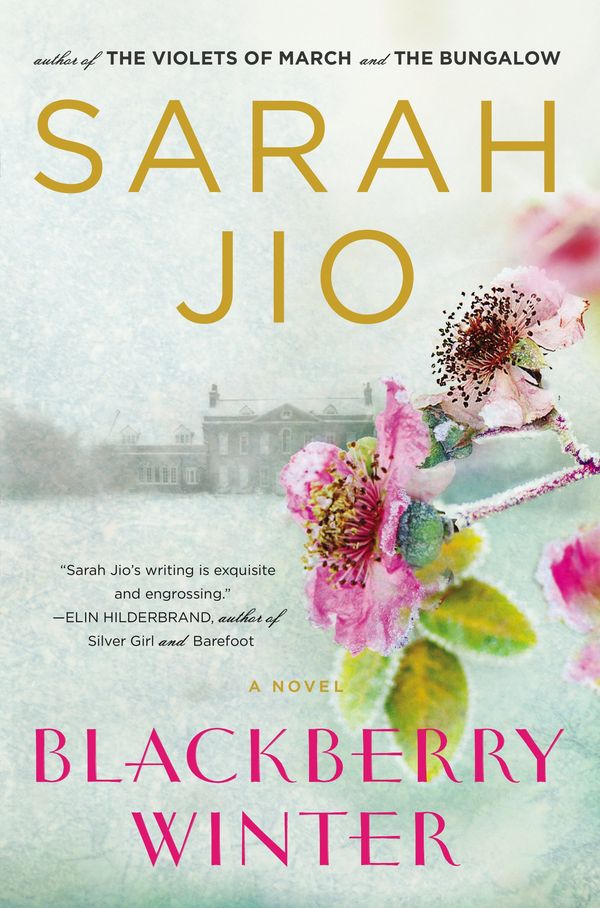 Blackberry Winter Book Cover