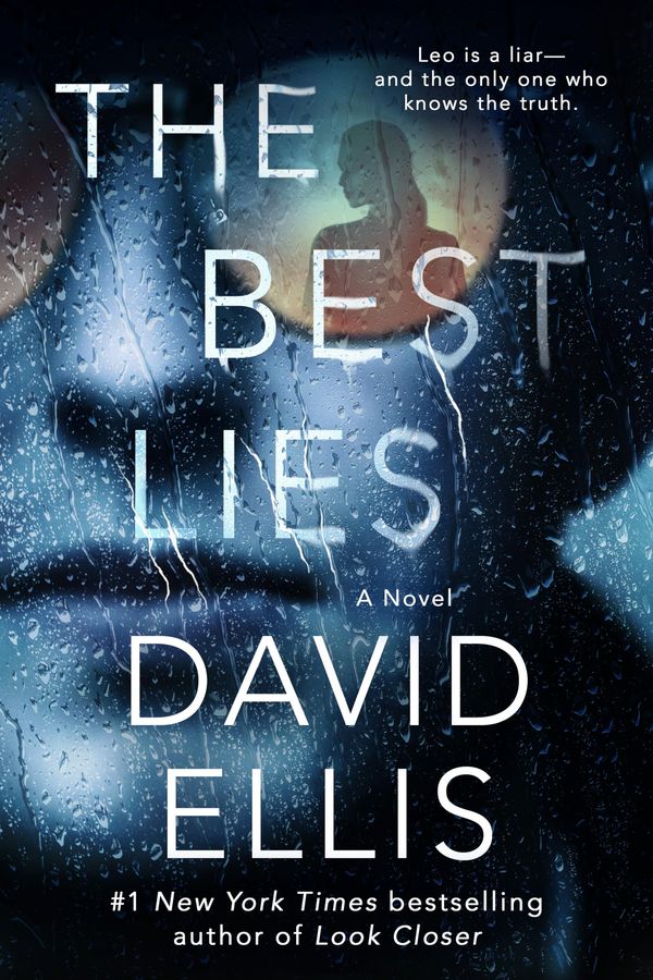The Best Lies Book Cover