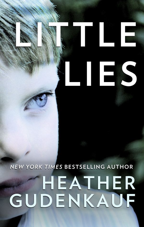 Little Lies Book Cover