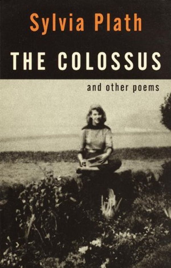 The Colossus Book Cover