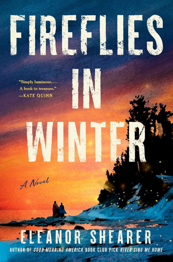 Fireflies in Winter Book Cover