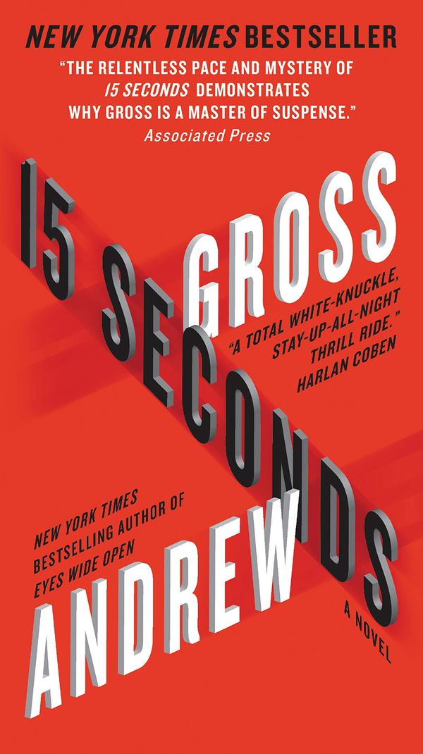 15 Seconds: A Novel Book Cover