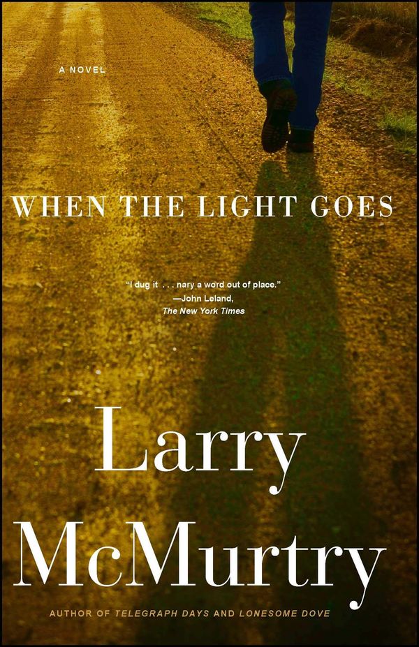 When the Light Goes Book Cover