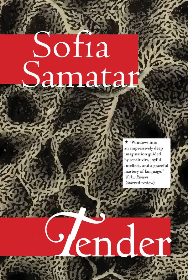 Tender Book Cover