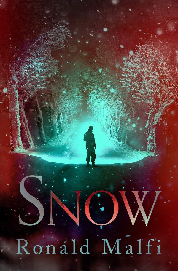 Snow Book Cover