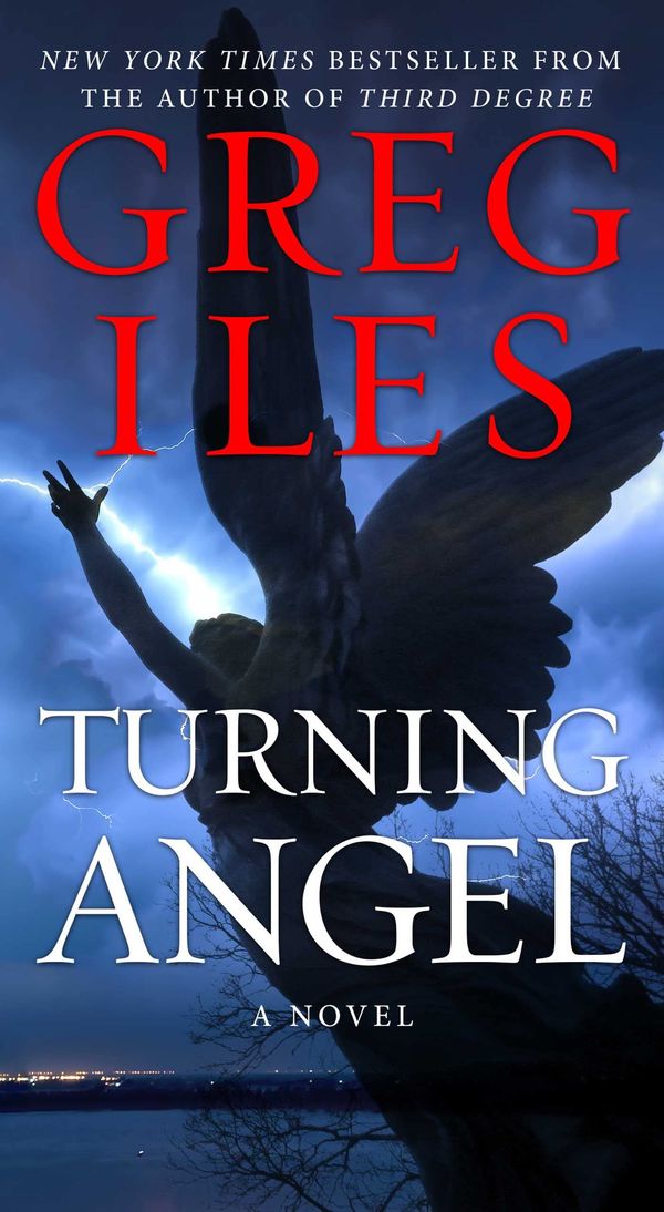 Turning Angel Book Cover
