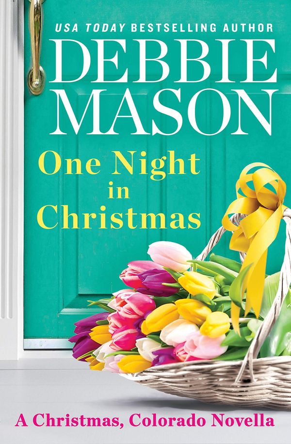 One Night in Christmas Book Cover