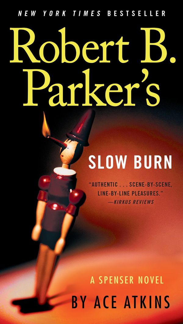 Slow Burn Book Cover