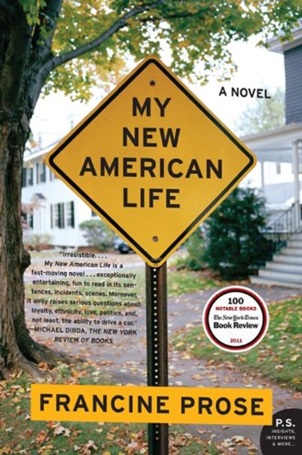 My New American Life Book Cover