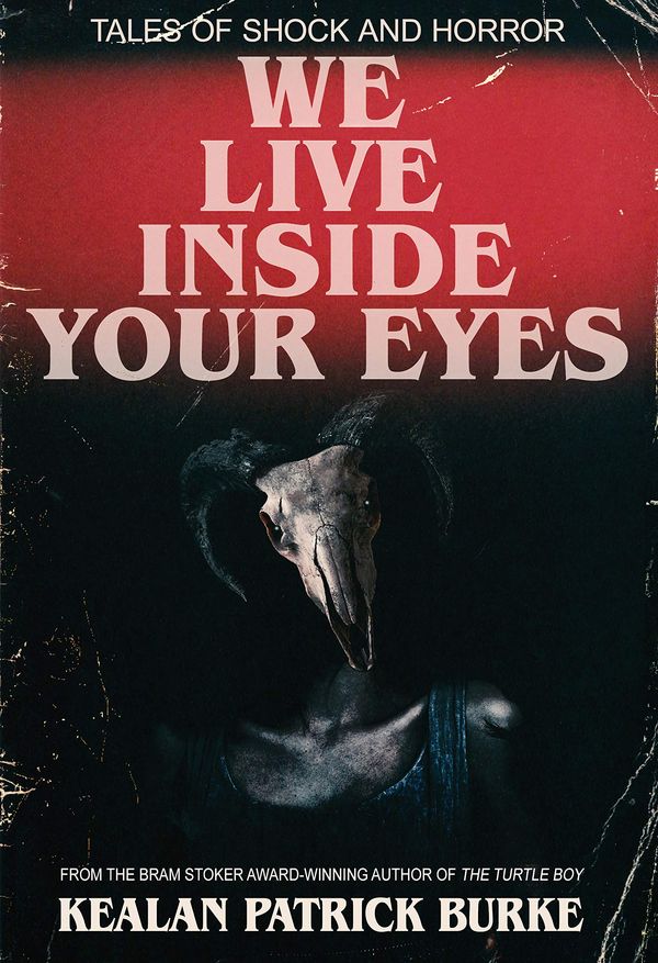 We Live Inside Your Eyes Book Cover