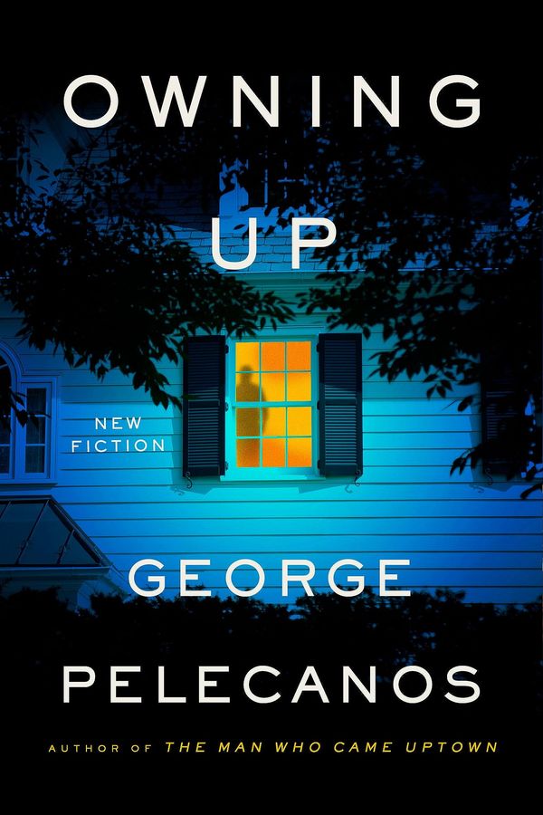 Owning Up Book Cover