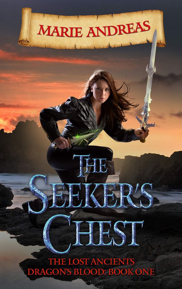 The Seeker's Chest cover