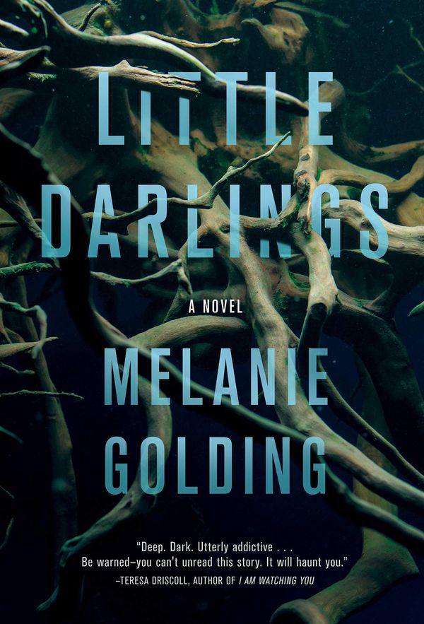 Little Darlings Book Cover
