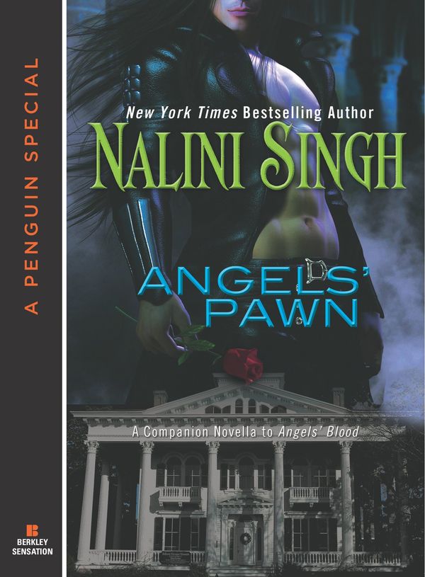 Angels' Pawn Book Cover
