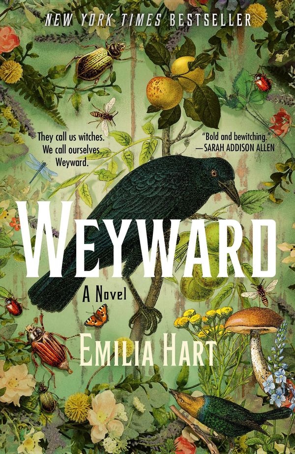 Weyward Book Cover