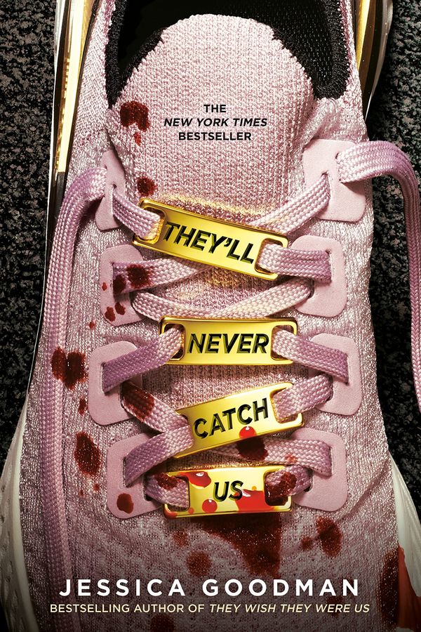They'll Never Catch Us Book Cover
