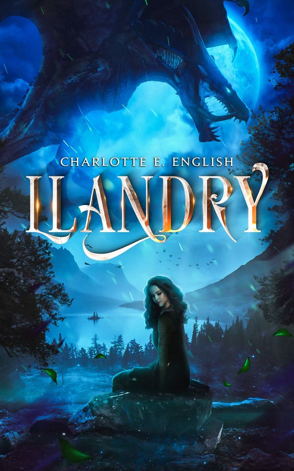 Llandry Book Cover