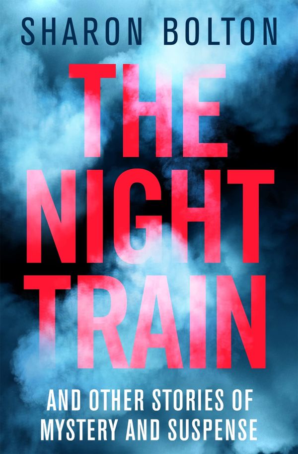The Night Train Book Cover
